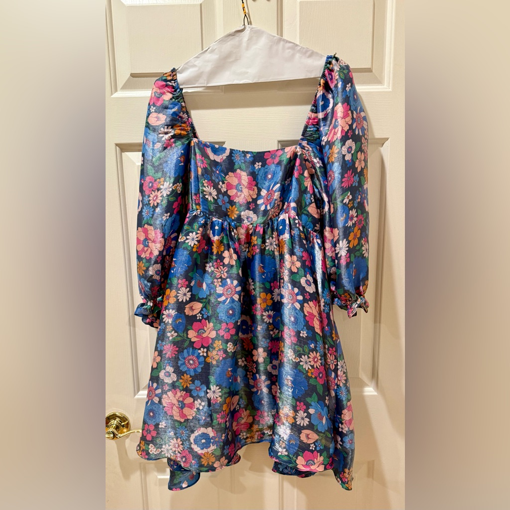 Storia Floral Dress In Blue And Pink